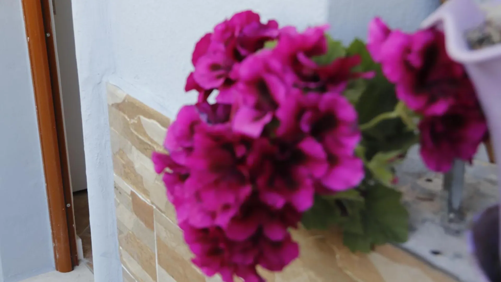 Guesthouse Seli Berat Albania