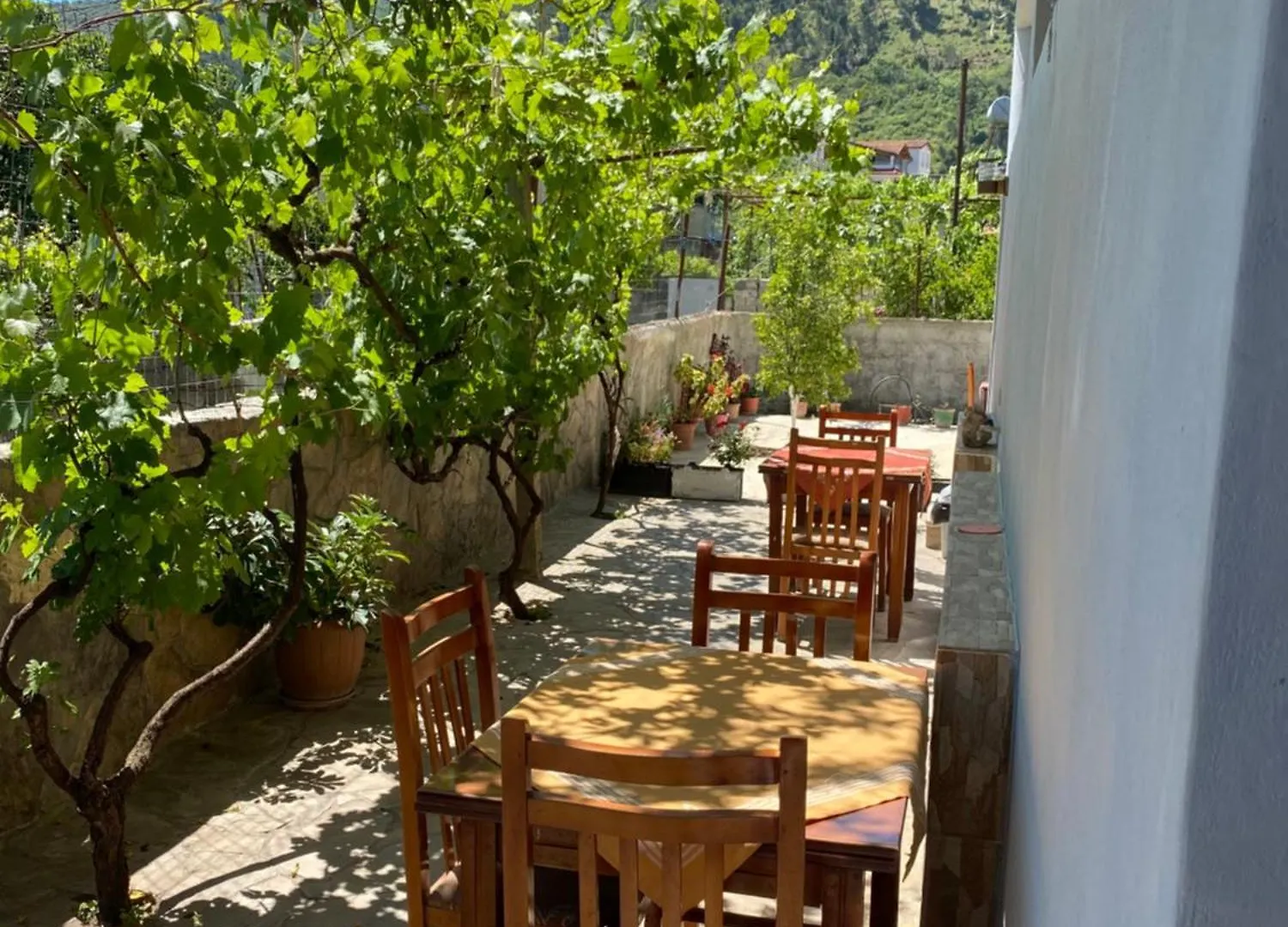 Pensión Guesthouse Seli Berat